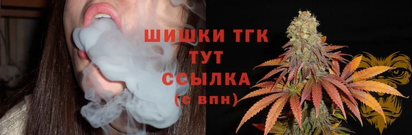 крисы Зеленокумск