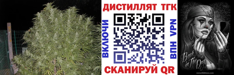 Купить закладки  Сысерть  Дистиллят ТГК THC oil 