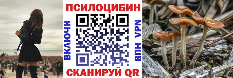 Купить закладки  Сысерть  Псилоцибиновые грибы Psilocybine cubensis 